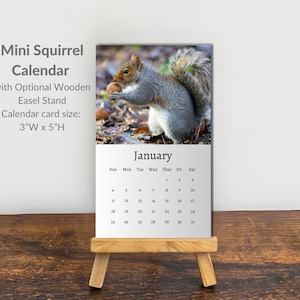 May include: A mini squirrel calendar featuring a photograph of a squirrel holding a nut, with the month of January displayed below. The calendar card measures 3 inches wide by 5 inches high and is displayed on a light-colored wooden easel stand.