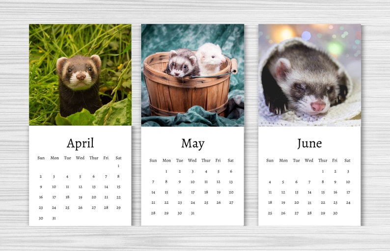 Ferret Calendar 2024 Mini Desk Calendar Ferret Calendar Etsy Australia