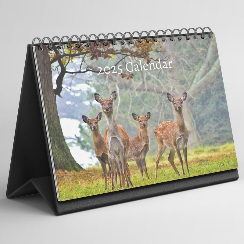 Desktop Flip Calendar 2025 Etsy Desktop Flip Calendar 2025 Etsy