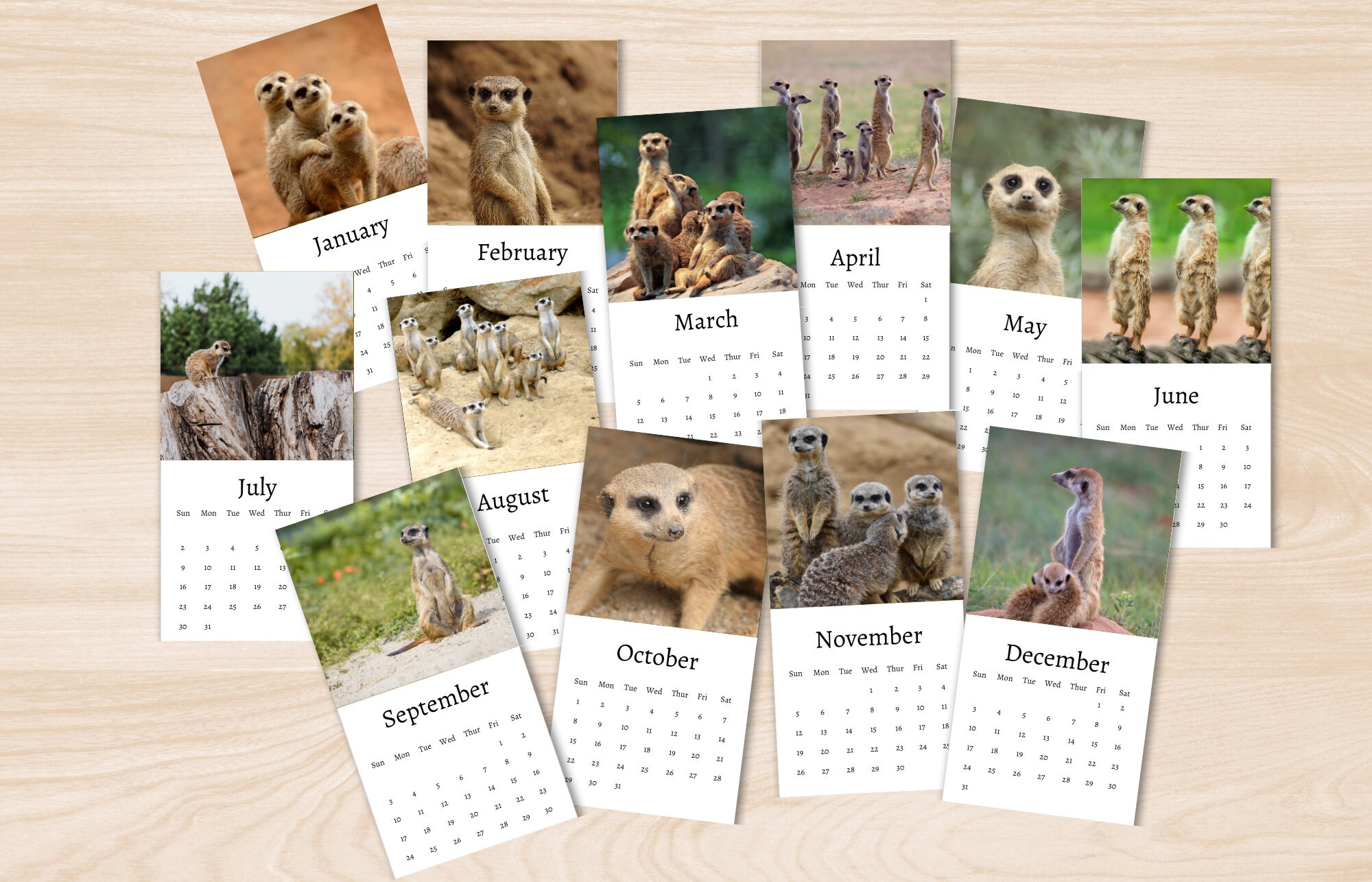 Meerkat Calendar 2024 Mini Desk Calendar Meerkat Calendar Etsy