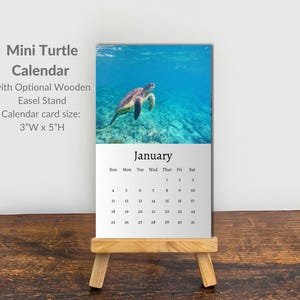 May include: A mini turtle calendar with an optional wooden easel stand. The calendar card measures 3 inches wide by 5 inches high. The top portion features a sea turtle swimming in blue water, while the bottom displays the month of January.