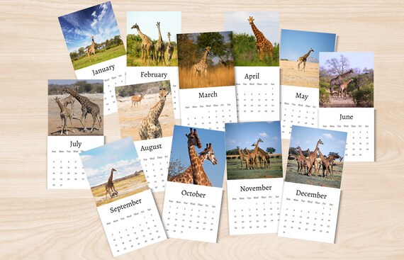 Giraffe Calendar 2025
