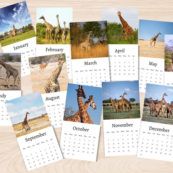 2024 Giraffe Etsy
