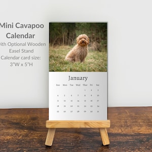 Cavapoo-kalender 2027: Mini-skrivbordskalender, Cavapoo-kalender 2027-2028 Perfekt present för strumpfyllare och Cavapoo-älskare
