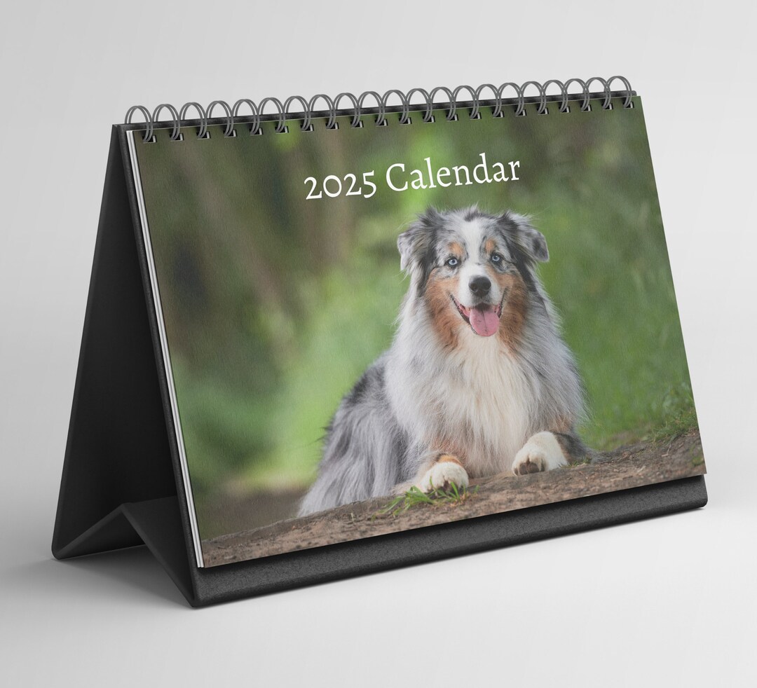 Australian Shepherd Desk Calendar 20252026 Standing Flip Desktop
