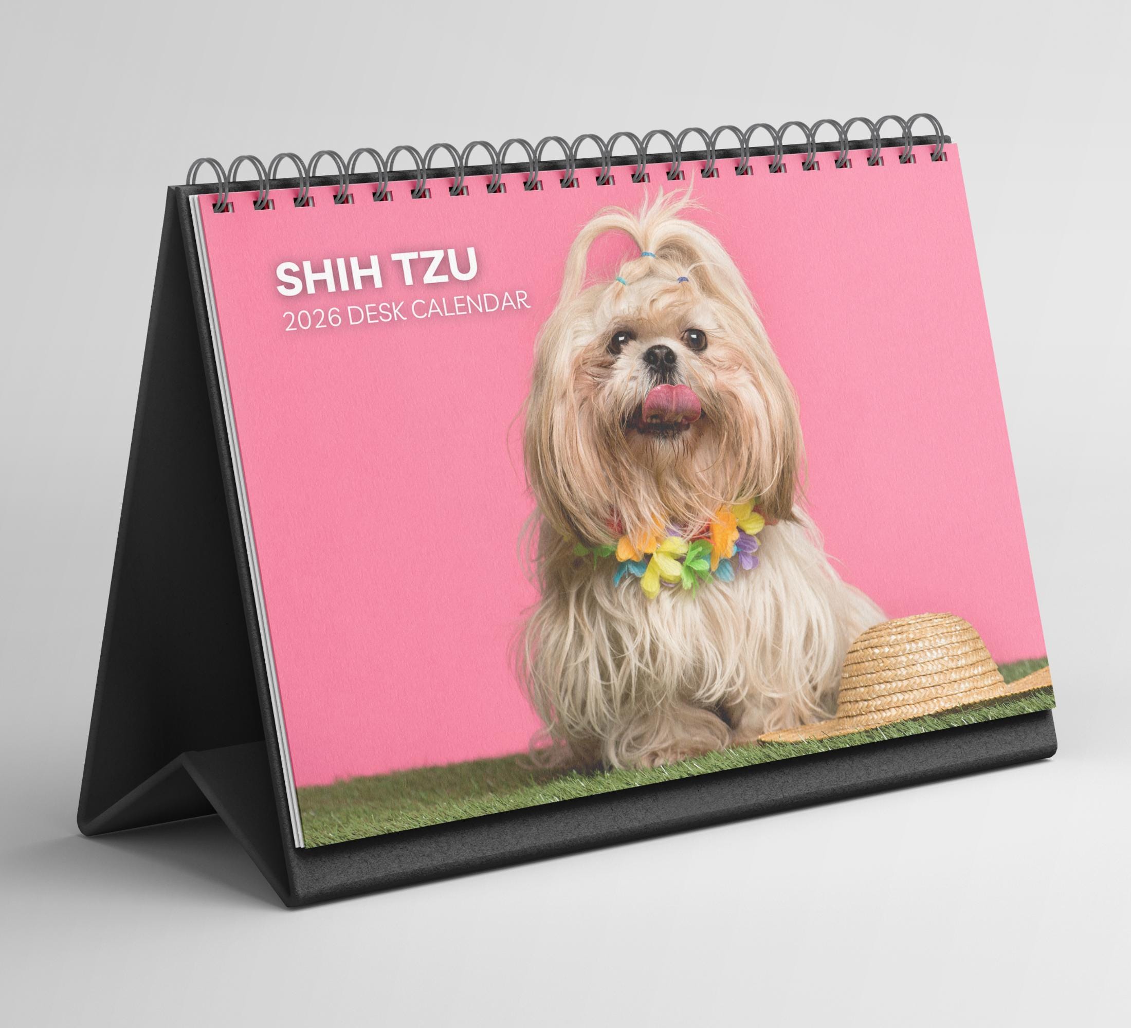 Shih Tzu - Calendarios De Pared 2024 | Consíguelos En