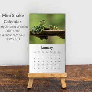 May include: A mini snake calendar with an optional wooden easel stand. The calendar card measures 7.62 cm wide by 12.7 cm high. The top portion features a photograph of a green and black patterned snake on a branch, while the bottom displays January.