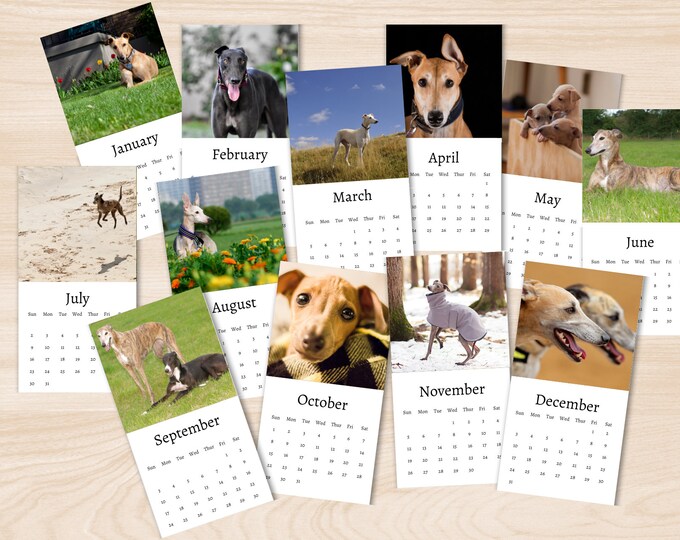 Greyhound Calendar 2024 Mini Desk Calendar Greyhound Calendar 20242025