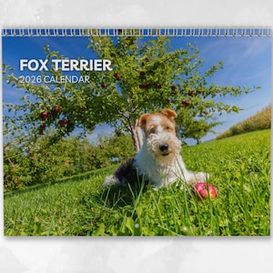 Puede incluir: Calendario de 2026 con un Fox Terrier acostado en hierba verde con una manzana roja. El calendario tiene encuadernación en espiral y el texto "FOX TERRIER 2026 CALENDAR" en letras blancas. El perro está debajo de un árbol.