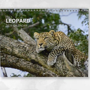 May include: A spiral-bound calendar featuring a leopard resting on a tree branch. The calendar cover displays the word "LEOPARD" above the year "2026 CALENDAR". The leopard has a tan coat with black spots.