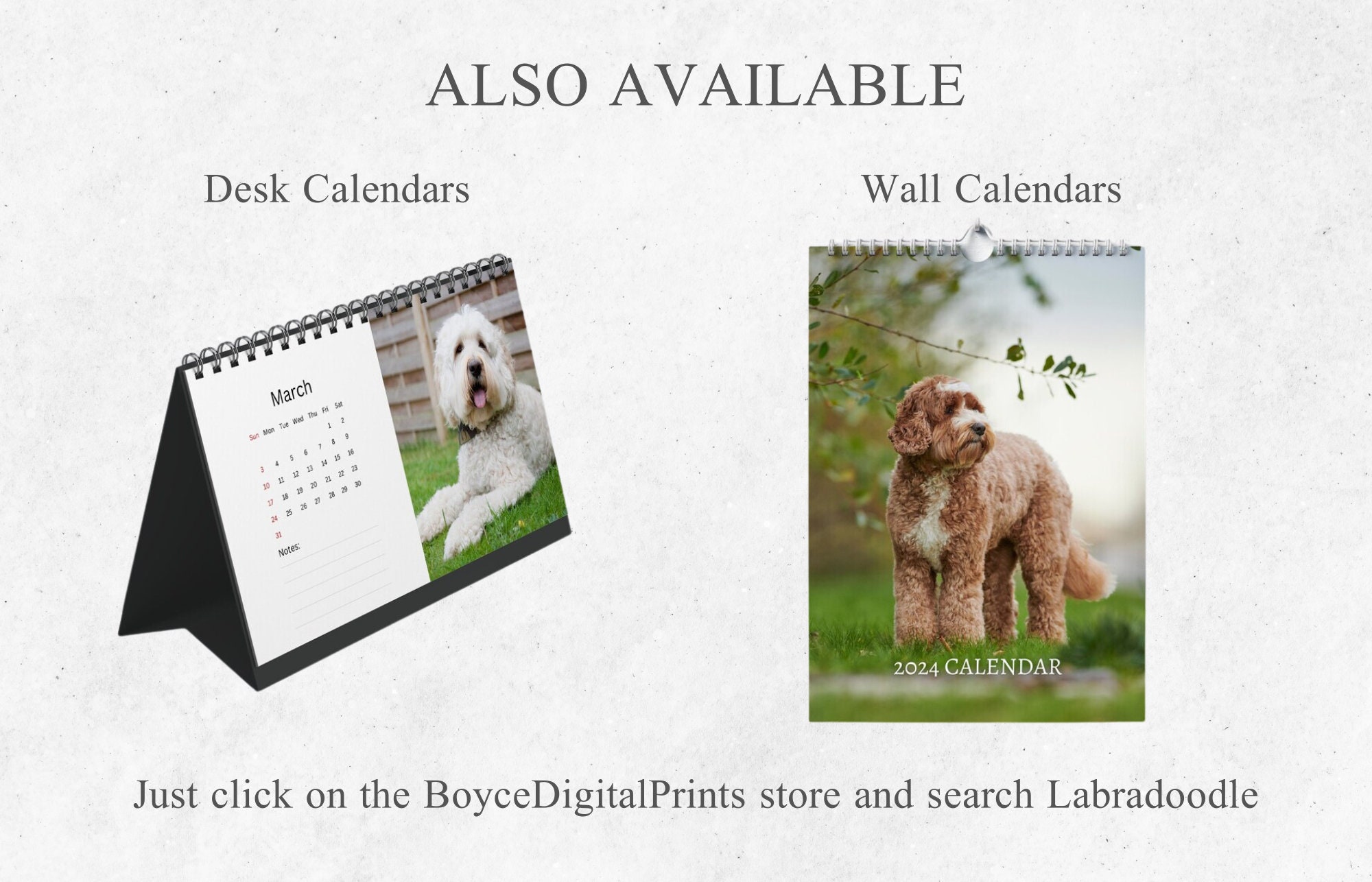 Labradoodle Calendar 2024 Mini Desk Calendar Labradoodle Etsy Australia