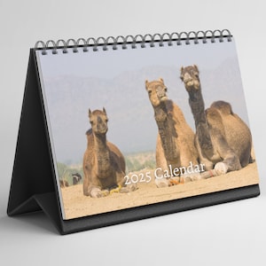 Calendario da tavolo Camel 2025-2026: calendario da tavolo con carta spessa (15,25 cm x 22 cm - simile ad A5)
