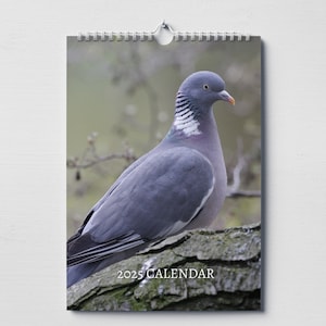 Calendrier pigeon 2025 : calendrier mural mensuel avec notes, format A4 suspendu, dates et jours fériés clés au Royaume-Uni et aux États-Unis