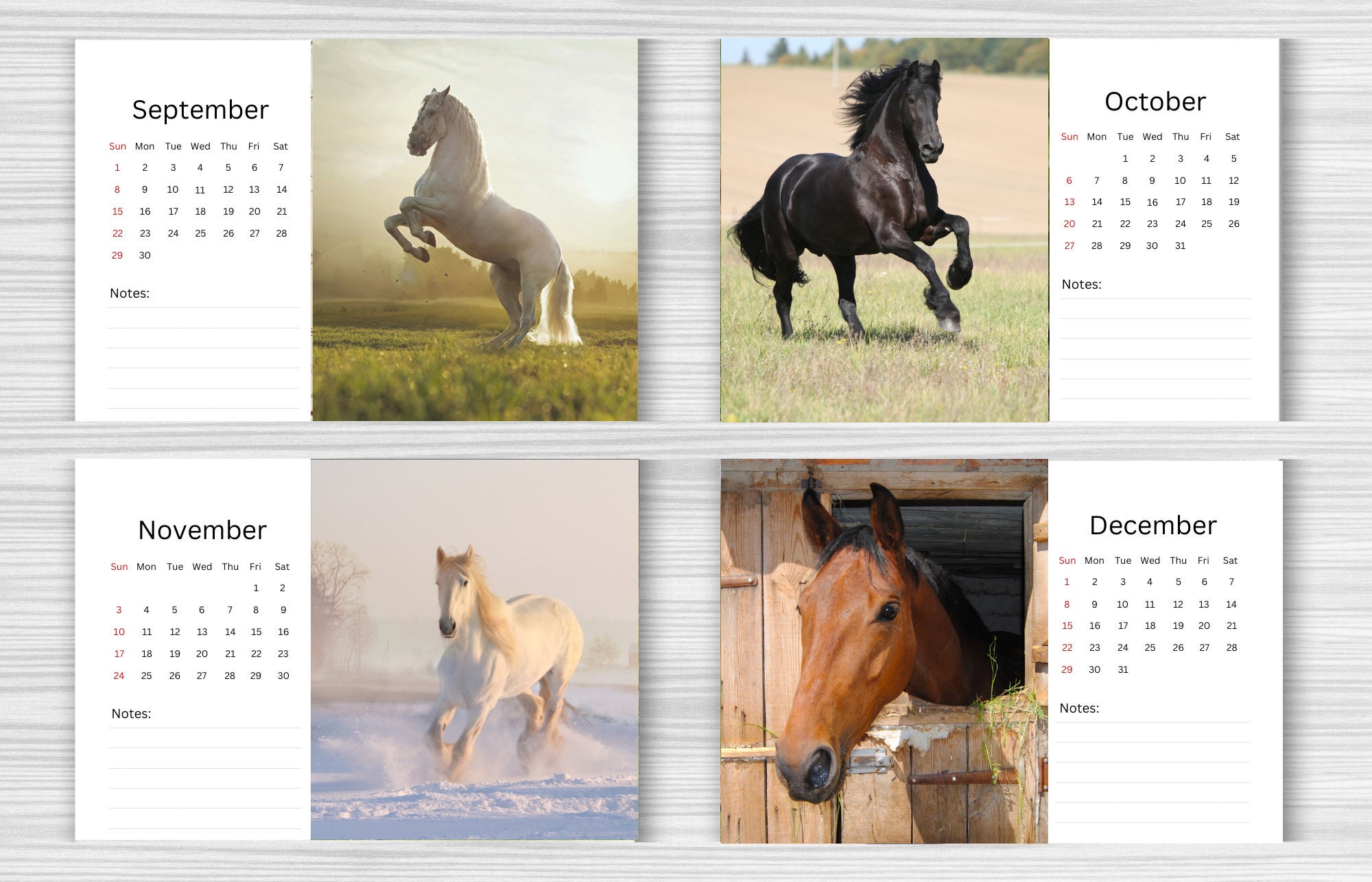 Horse Desk Calendar 2025 Desktop Calendar Horse Calendar Etsy