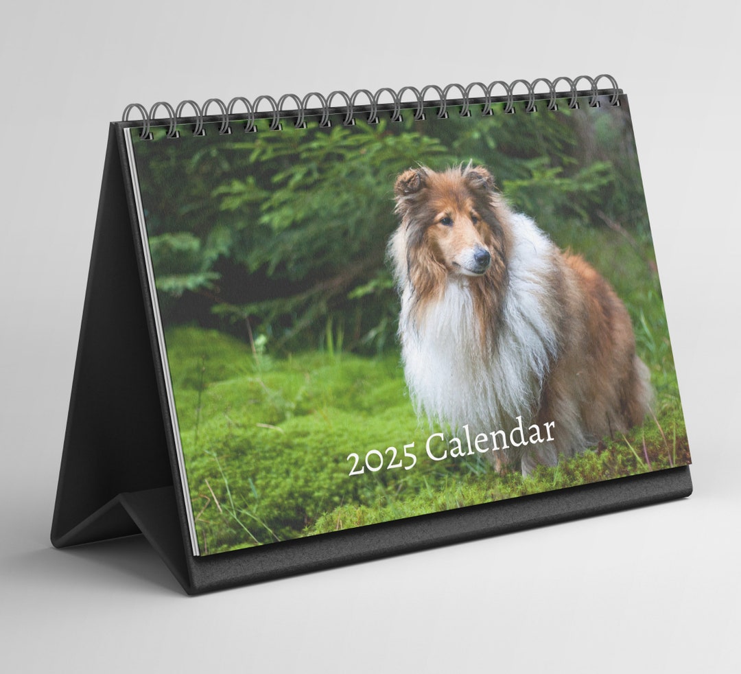 Collie Desk Calendar 20252026 Standing Flip Desktop Calendar With