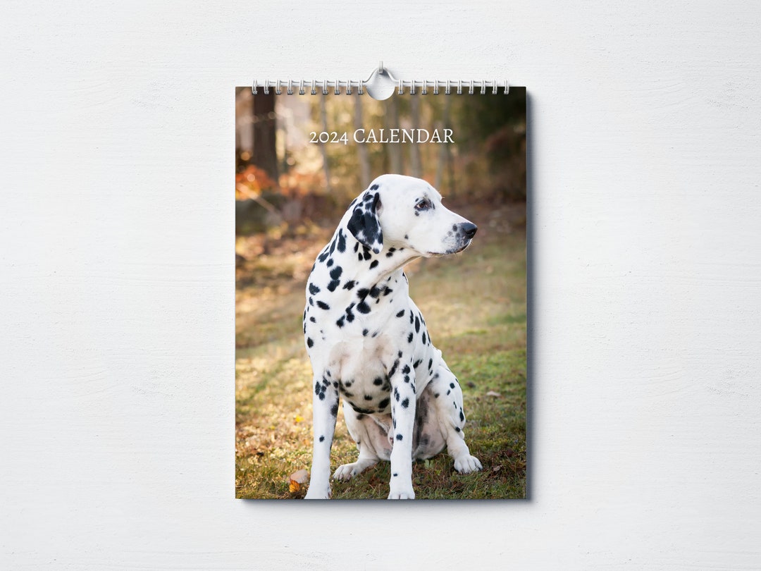 Dalmatian Calendar 2024 Monthly Wall Calendar, A4 Size Hanging Calendar