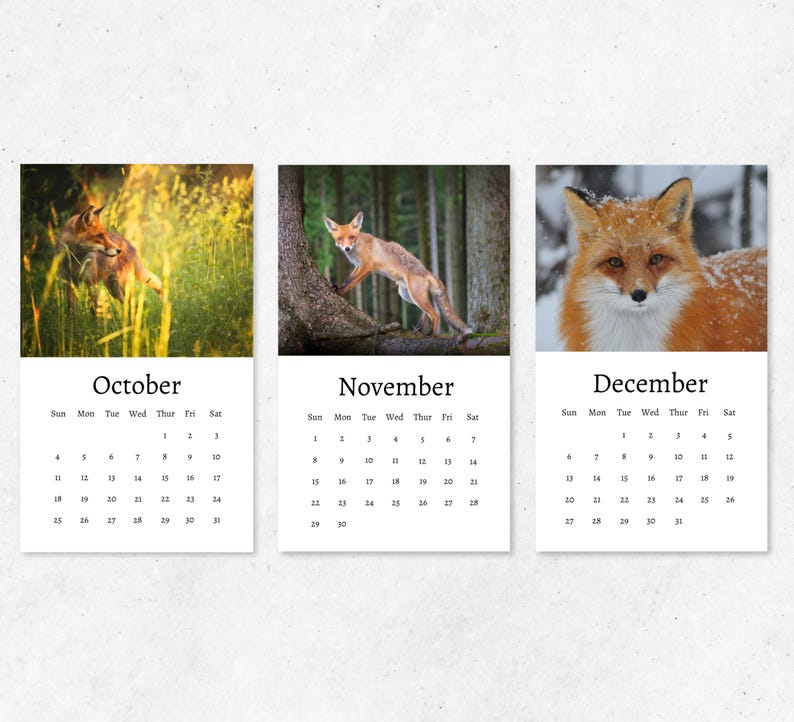 Fox Calendar 2026: Mini Desk Calendar, Fox Calendar 2026-2027, Perfect ...