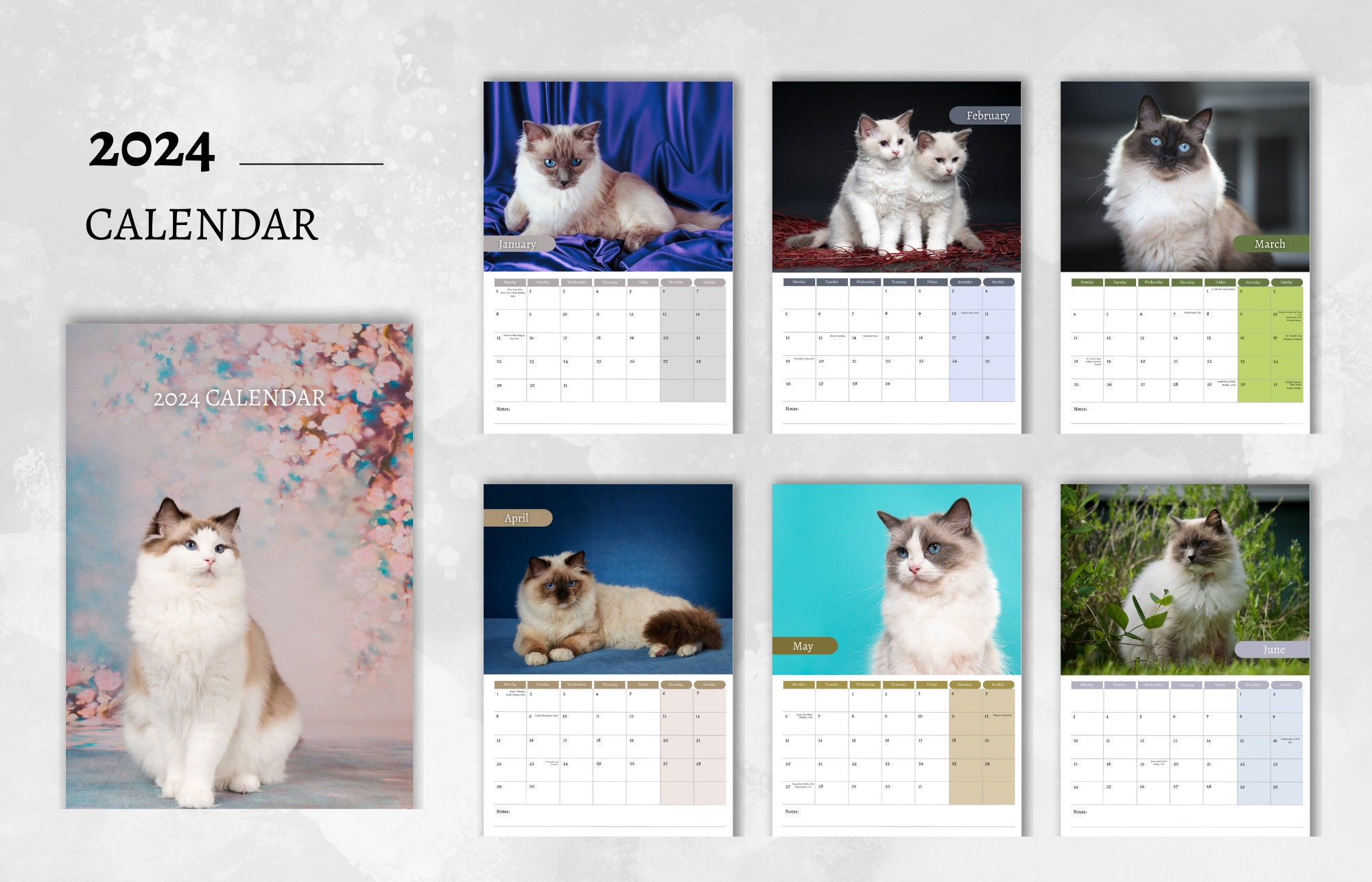 Ragdoll Cat Calendar 2024 Monthly Wall Calendar, A4 Hanging Calendar