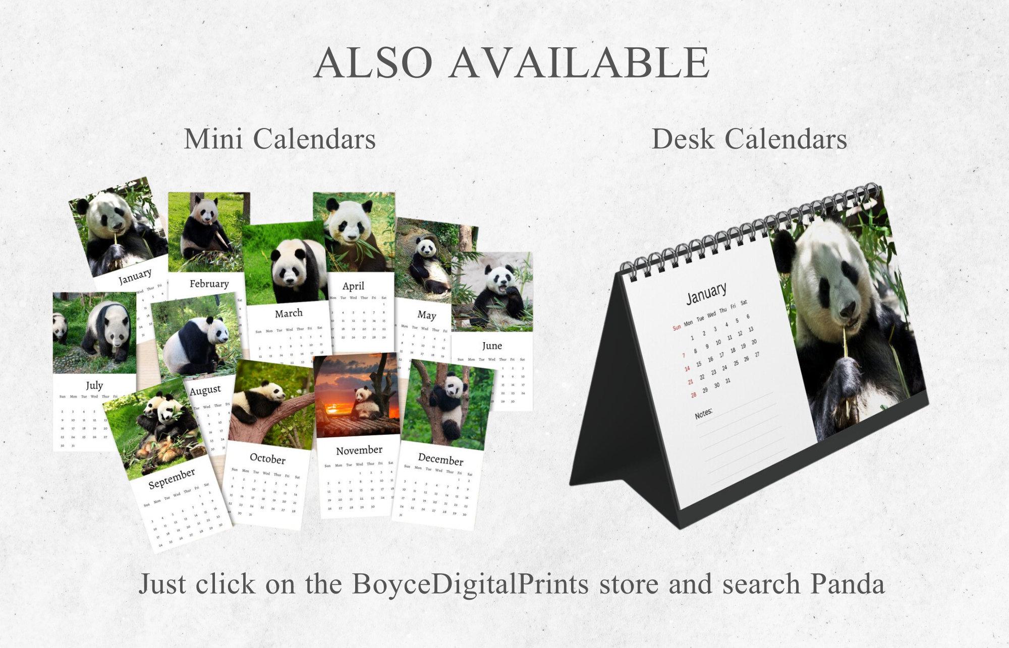 Panda Calendar 2024 Monthly Wall Calendar, A4 Hanging Calendar Perfect ...