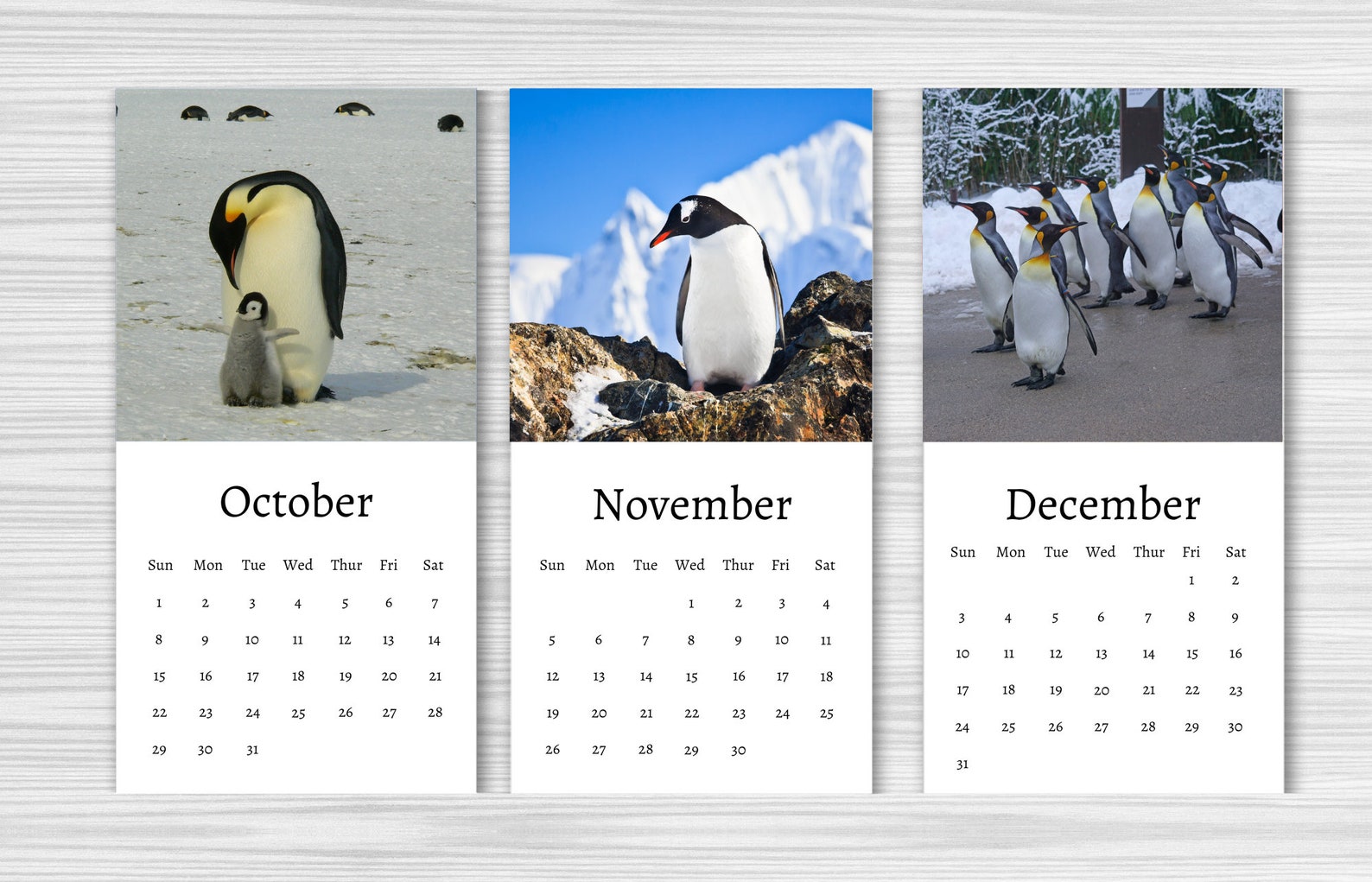Penguin Calendar 2024 Mini Desk Calendar Penguin Calendar Etsy