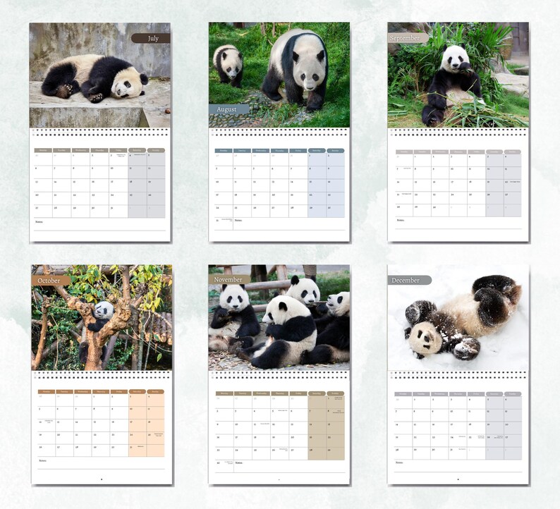 Panda Calendar 2026: Monthly Wall Calendar With Notes, Opens to A3 Size ...