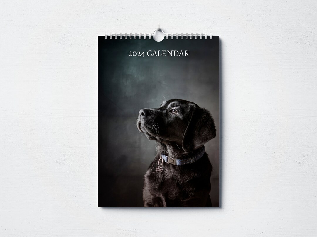 Black Labrador Calendar 2024 Monthly Wall Calendar A4 Size Etsy
