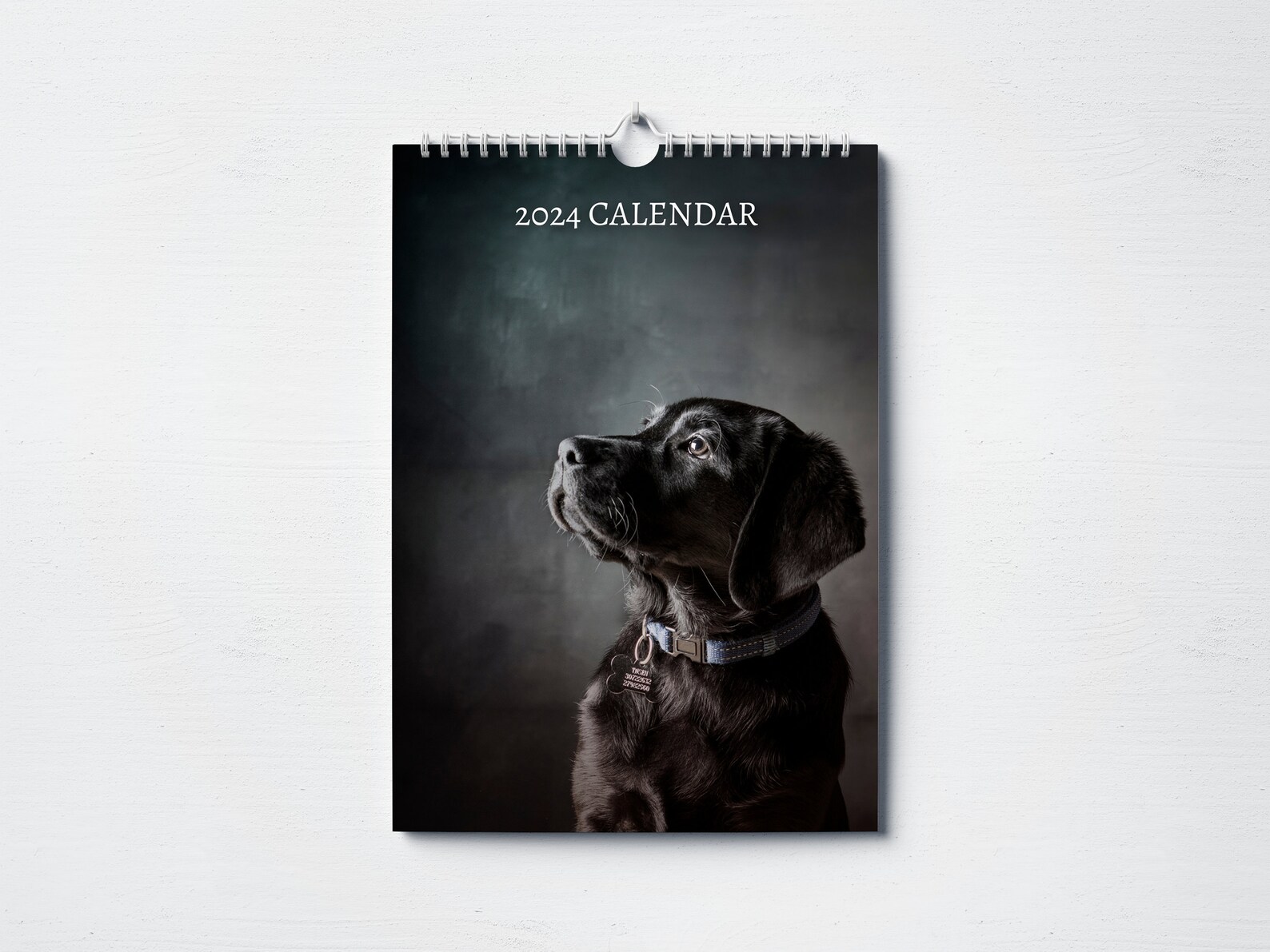 Black Labrador Calendar 2024 Monthly Wall Calendar, A4 Size Hanging