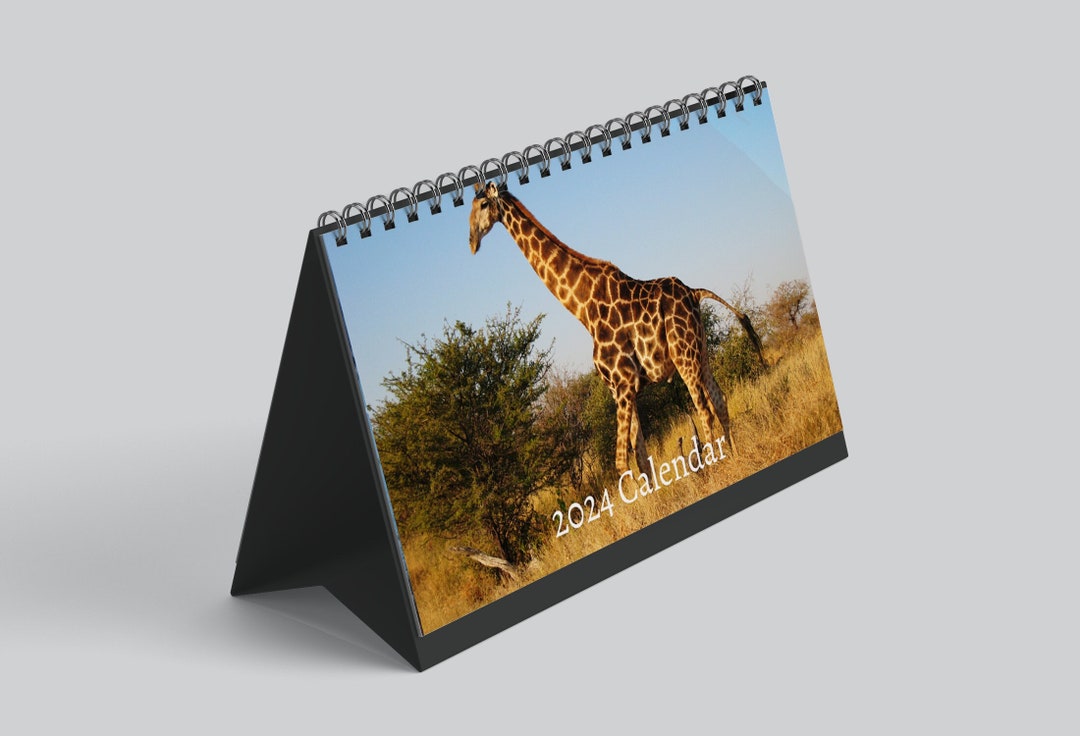 Giraffe Desk Calendar 2024 Desktop Calendar Giraffe Etsy