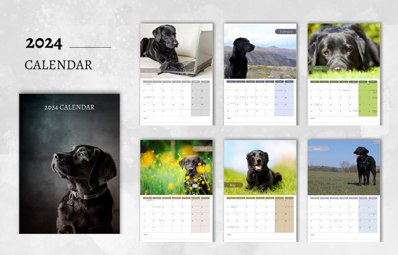 Black Labrador Calendar 2024 Monthly Wall Calendar, A4 Size Hanging