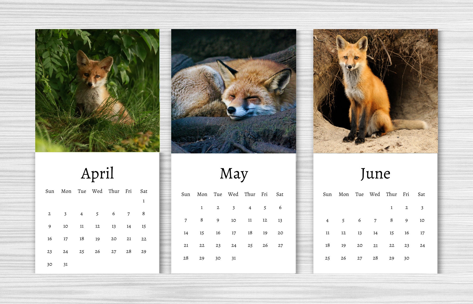 Fox Calendar 2024 Mini Desk Calendar Fox Calendar Etsy
