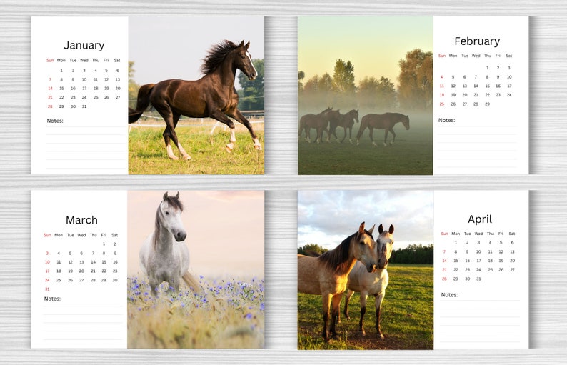 Horse Desk Calendar 2024 Desktop Calendar Horse Calendar Etsy