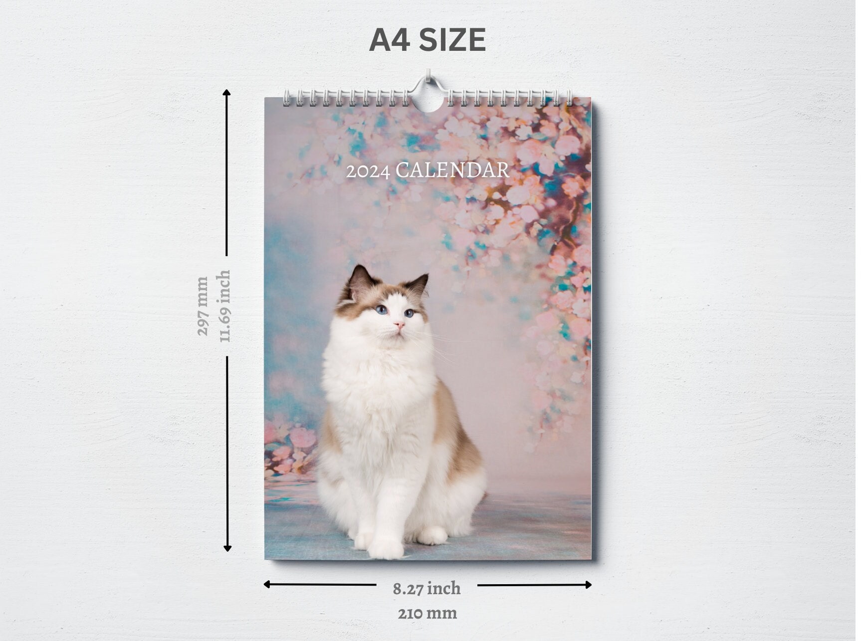 Ragdoll Cat Calendar 2024 Monthly Wall Calendar, A4 Hanging Calendar