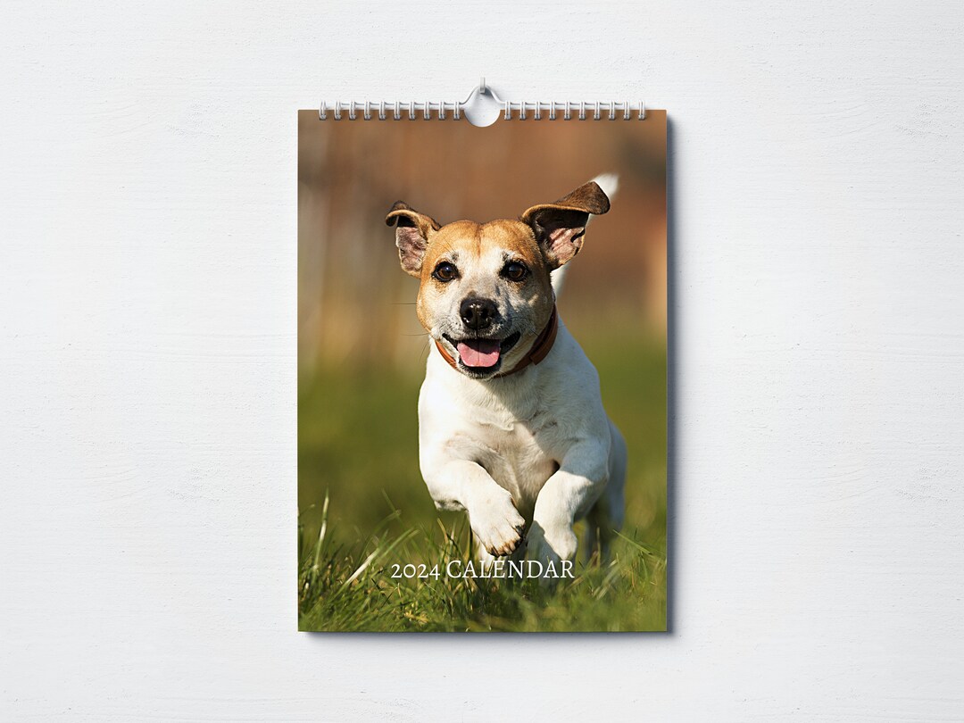 Calendario Jack Russell 2024 / Calendario de pared mensual A4 Etsy España