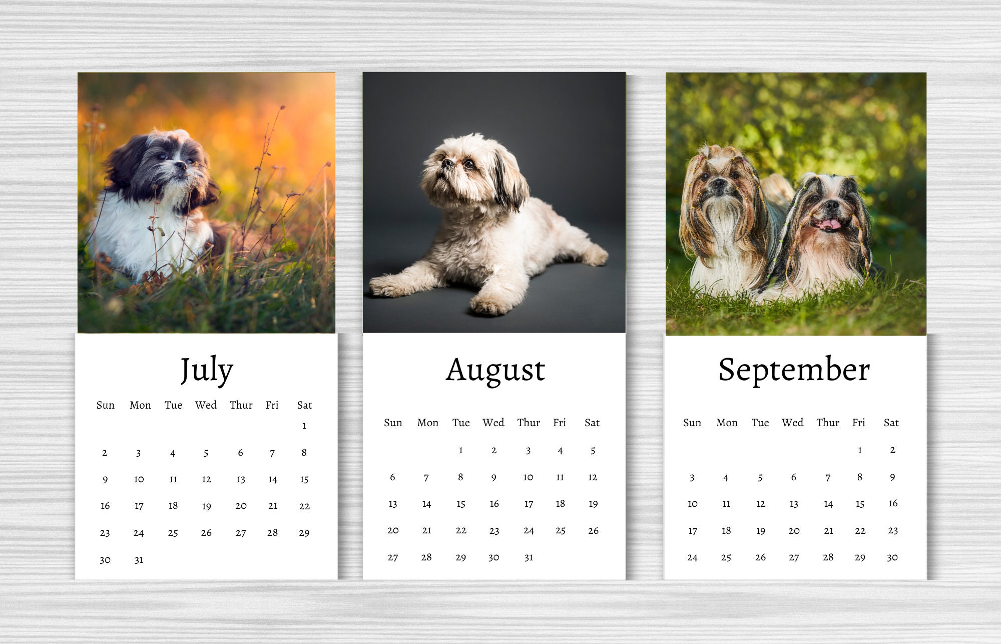 Shih Tzu Calendar 2024 Mini Desk Calendar Shih Tzu Etsy Canada