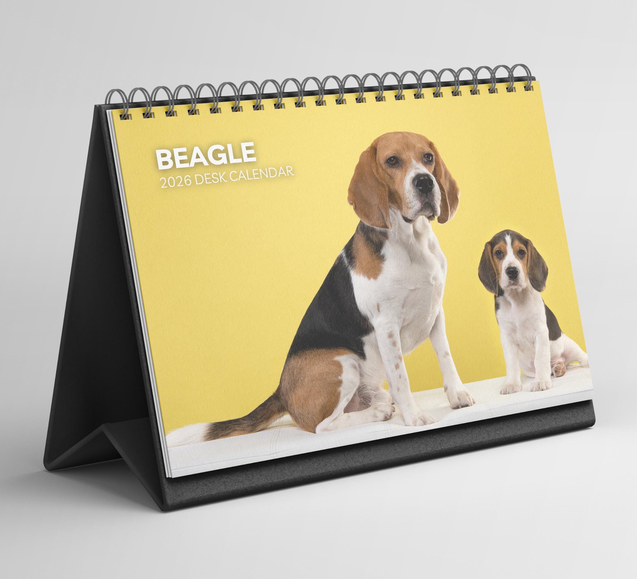 Baker And Bray Dalmatian Calendar 2025, Large Square Wall Calendar With - View #11