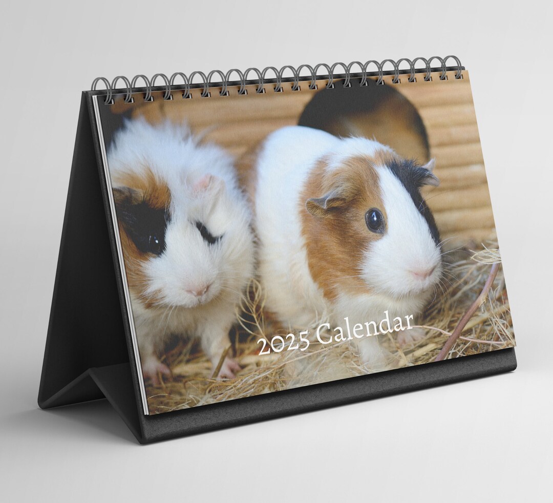 Guinea Pig Desk Calendar 20252026 Standing Flip Desktop Calendar With