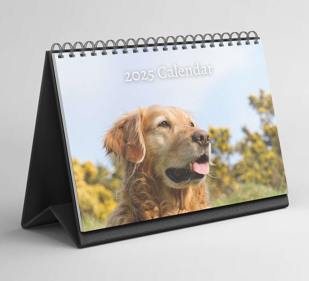 Golden Retriever Desk Calendar 20252026 Standing Flip Desktop Golden Retriever Desk Calendar 20252026 Standing Flip Desktop