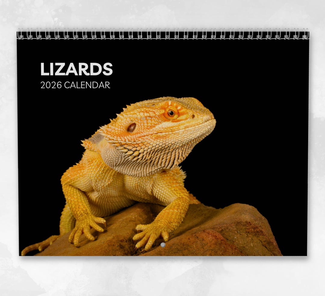 Lizard Calendar 2026: Monthly Wall Calendar With Notes, Opens to A3 ...