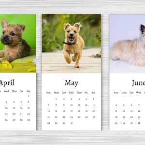 Calendrier 2026 du West Highland White Terrier