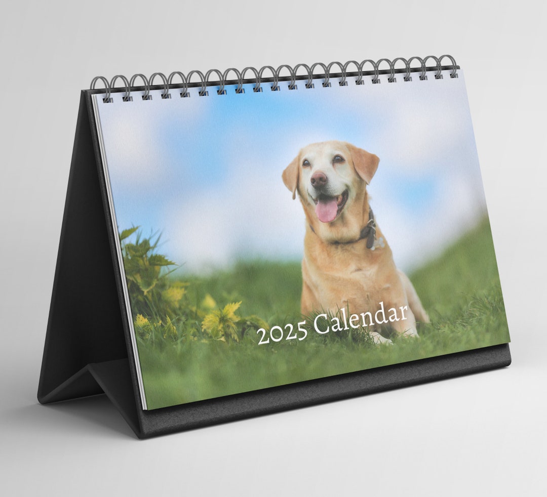 Yellow Labrador Desk Calendar 20252026 Standing Flip Desktop Calendar
