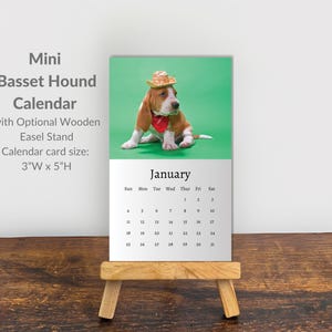 Puede incluir: Calendario Mini Basset Hound con caballete de madera opcional. El tamaño de la tarjeta del calendario es de 7.6cm ancho x 12.7cm alto. La página de enero presenta un cachorro Basset Hound con sombrero vaquero y pañuelo rojo.