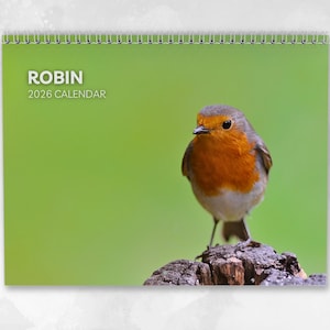 Op de afbeelding: Een 2026 kalender met een foto van een roodborstje op een boomstronk. De vogel heeft een helder oranje borst en een bruine rug. De kalender is bovenaan spiraalgebonden en heeft de tekst "ROBIN" en "2026 CALENDAR" op de cover.