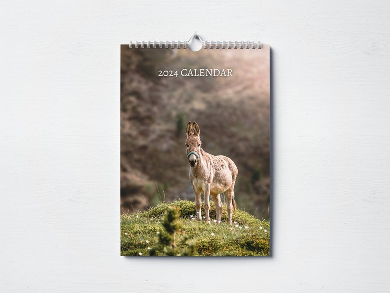 Donkey Calendar 2024 Monthly Wall Calendar A4 Size Etsy