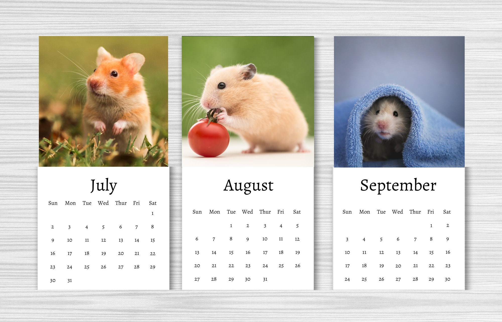 Hamster Calendar 2024 Mini Desk Calendar Hamster Calendar Etsy Canada