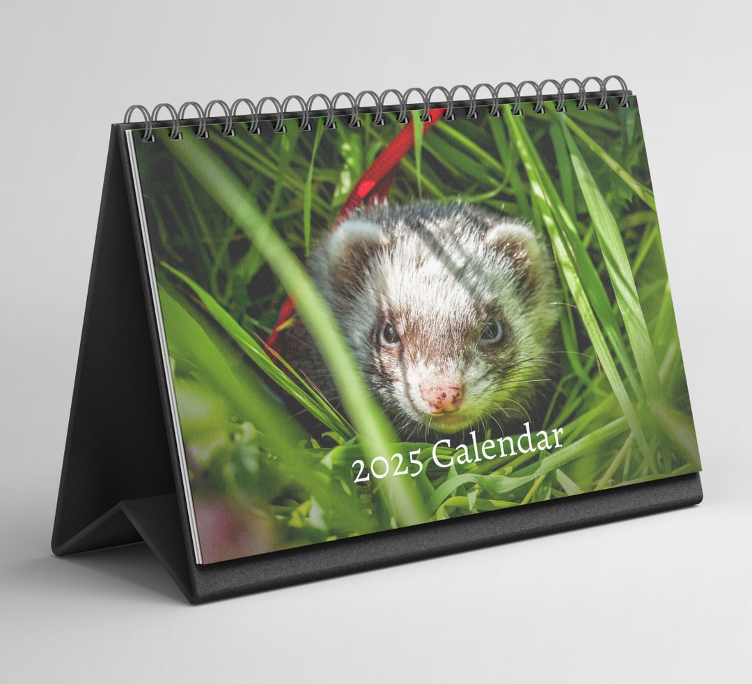 Ferret Desk Calendar 20252026 Standing Flip Desktop Calendar With