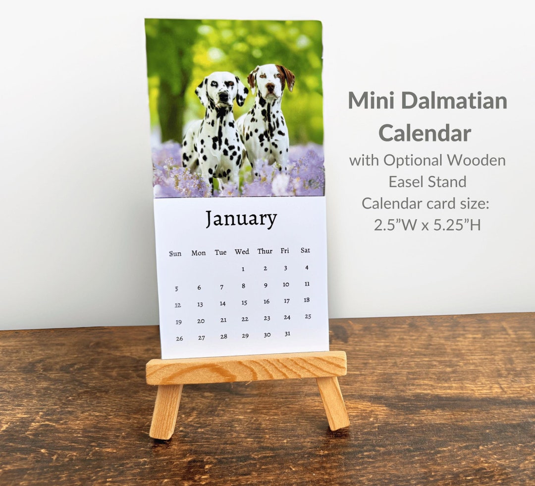 Dalmatian Calendar 2025 Mini Desk Calendar, Dalmatian Calendar 2025