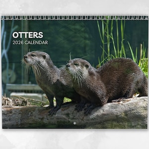 Puede incluir: Calendario "OTTERS 2026 CALENDAR" con dos nutrias sobre un tronco. Las nutrias tienen pelaje marrón oscuro y largos bigotes. El fondo presenta follaje verde y juncos.