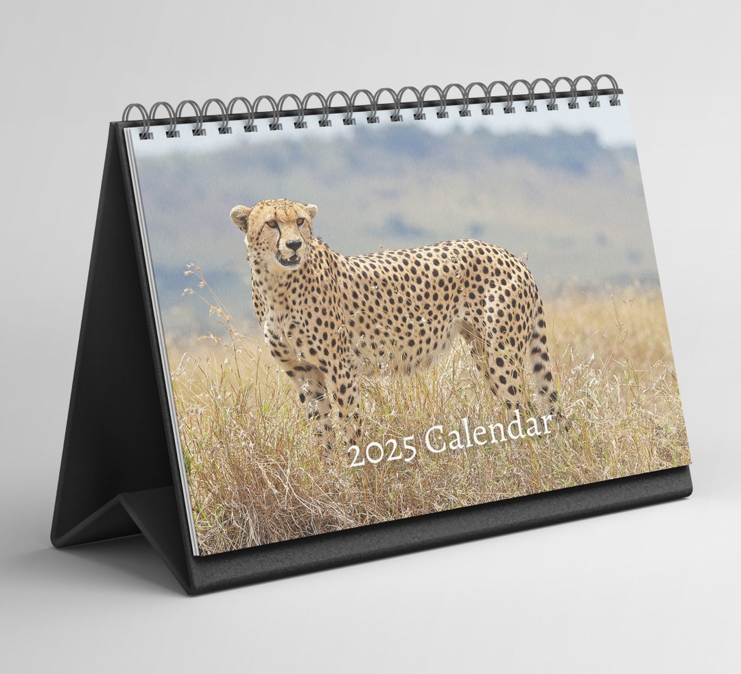 Cheetah Desk Calendar 20252026 Standing Flip Desktop Calendar With