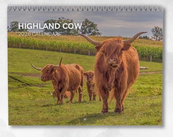 Highland Cow Calendar 2026: Monthly Wall Calendar with Notes, opens to A3 Size, Includes key dates & holidays