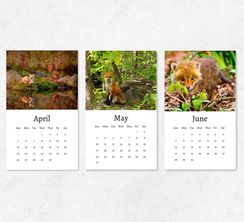 Fox Calendar 2026: Mini Desk Calendar, Fox Calendar 2026-2027, Perfect ...